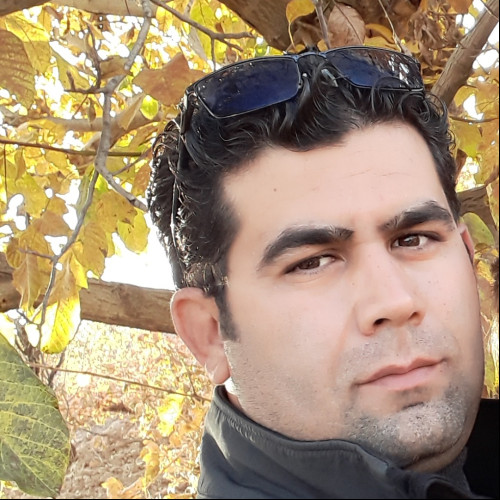Meysam R. profile photo