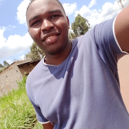 Denis M. profile photo