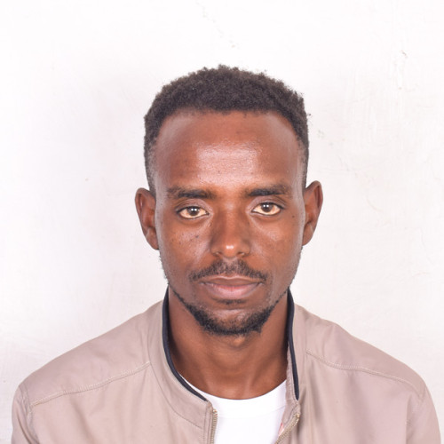 steve o. profile photo