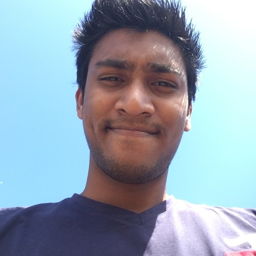 Ashish s.