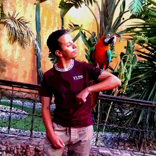 Shouaib A. profile photo