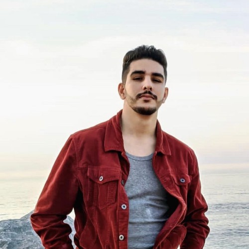 Almehdi M.