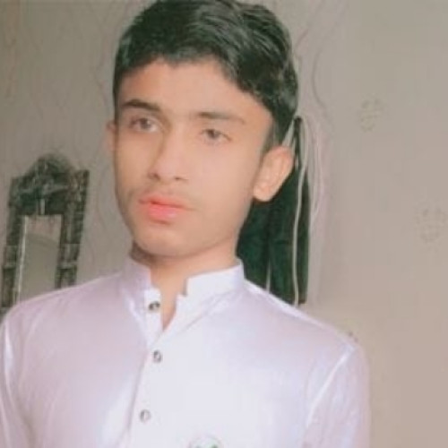 Ali R. profile photo