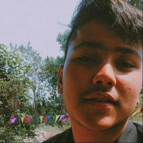 Sanju  K. profile photo