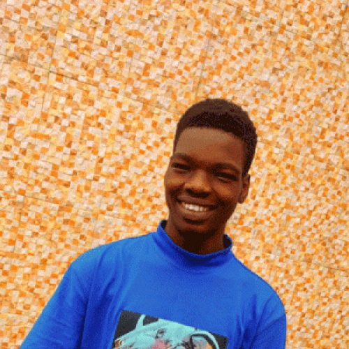 Opetunde  O. profile photo
