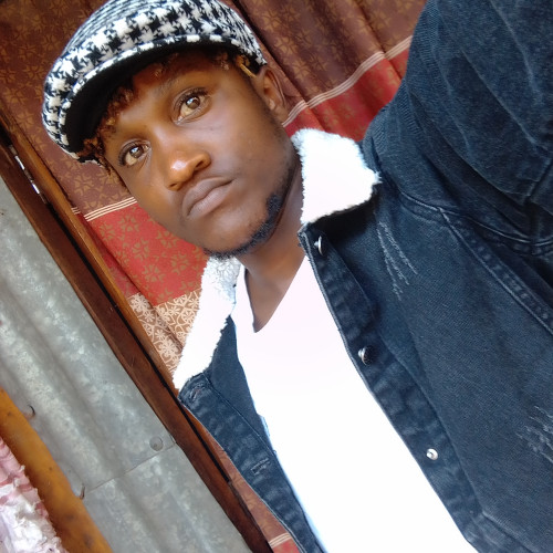 Daniel  N. profile photo
