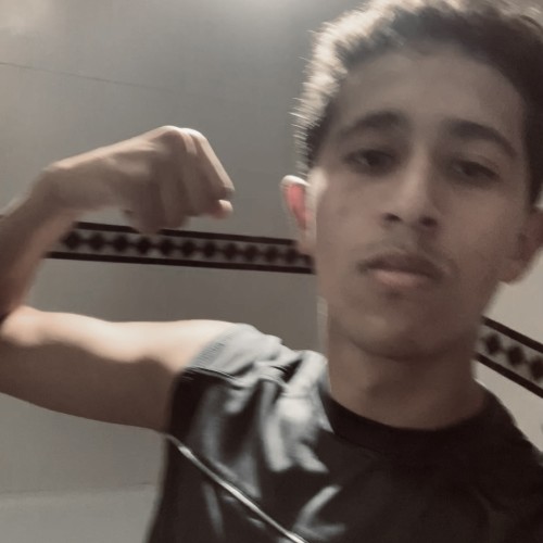 Rayane Z. profile photo