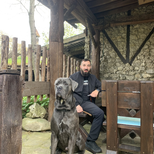 Georgi P. profile photo