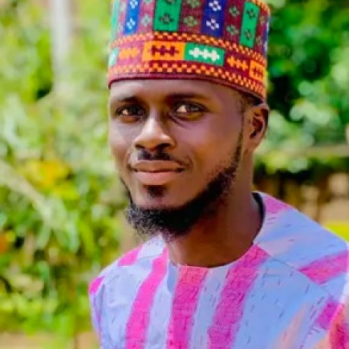 Abdulgafar M.