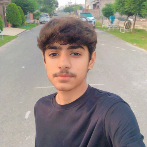 Ahmed M. profile photo