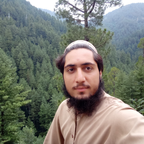Hasnain  K. profile photo