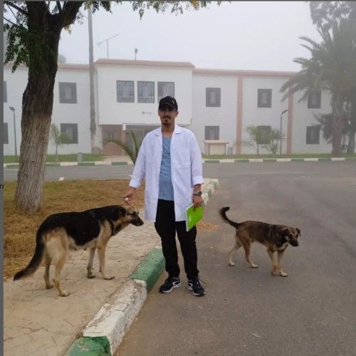 Saad H. profile photo