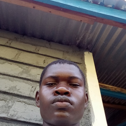 Teryl  O. profile photo