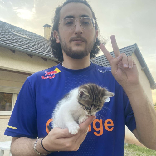 Mehmet E. profile photo