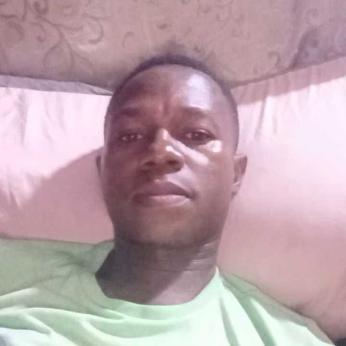 Ali m. profile photo