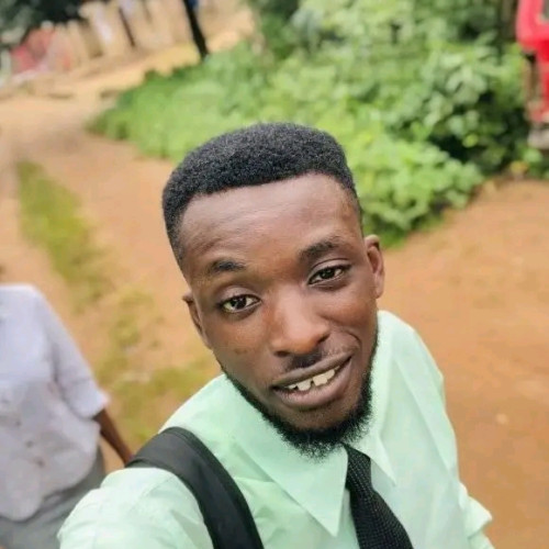 Edesiri Emmanuel  S. profile photo