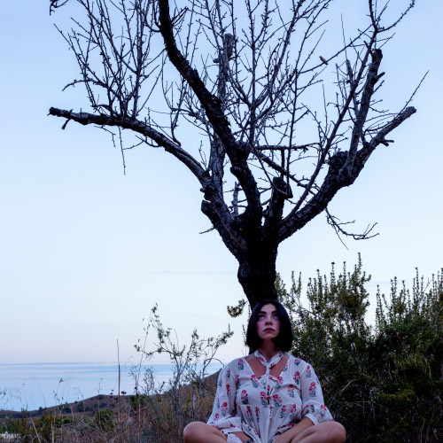 Diana  Z. profile photo