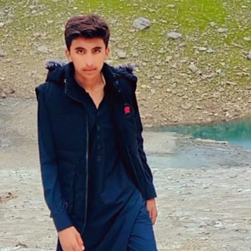 Zeeshan  A.