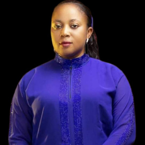 Oladapo  M. profile photo
