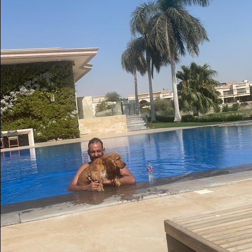 Amr D. profile photo