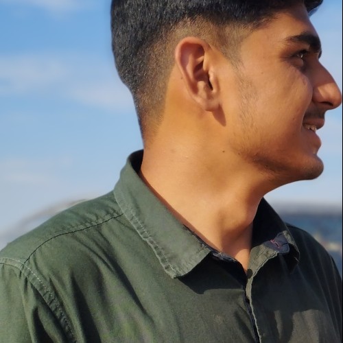 Narayan  P.