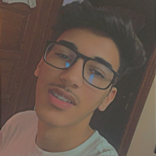 Mohamed L. profile photo