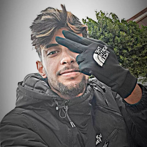 Mahmoud L. profile photo