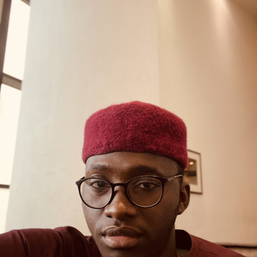 Muhammad Alamin M. profile photo