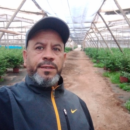 Naadi L. profile photo