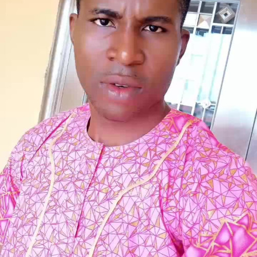 Oluwadamilare O. profile photo