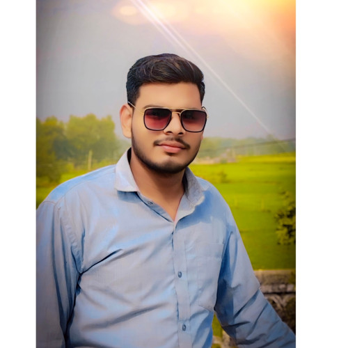 Ansh U.