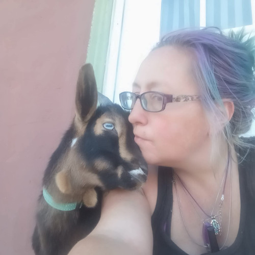 Rachelle  L. profile photo