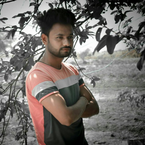 Dev V. profile photo