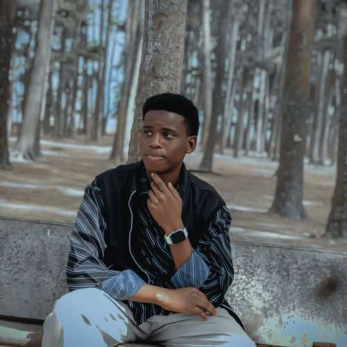 Ahmad  I. profile photo