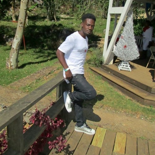 Steve A. profile photo