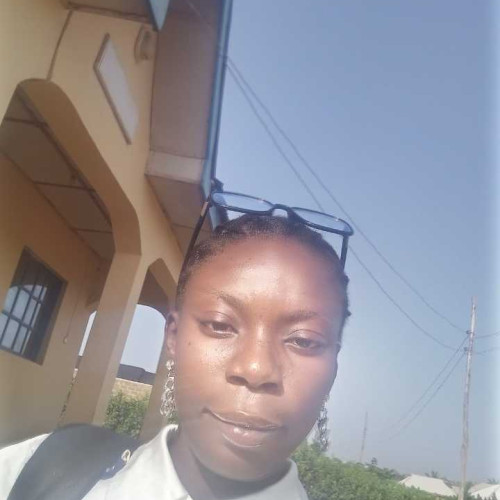 Imoleayo B. profile photo