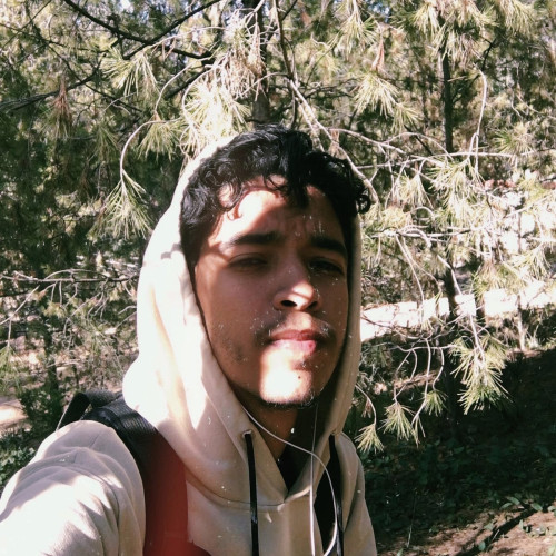 Walid  . profile photo