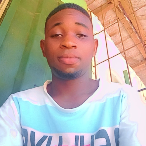 Babatunde  O. profile photo