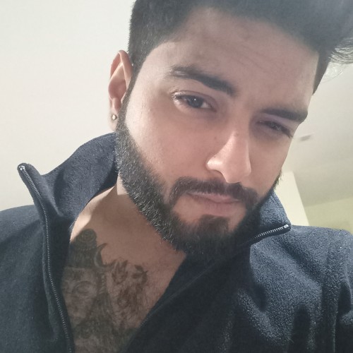 Nipun S. profile photo