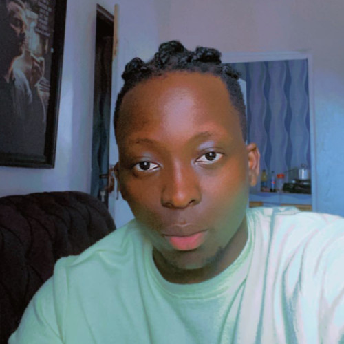 Opeyemi  A. profile photo