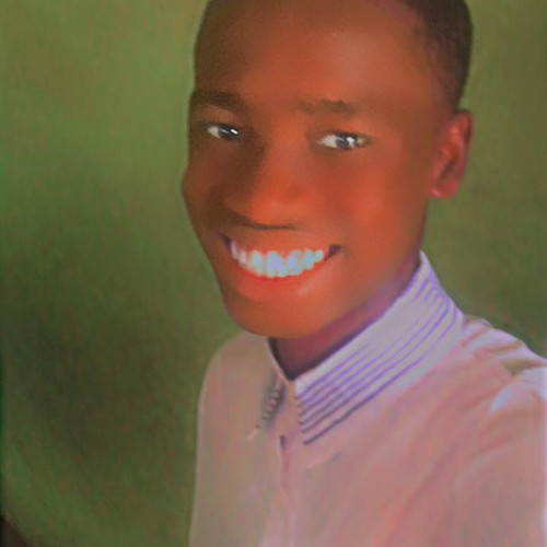 ONYEMEKESI S. profile photo