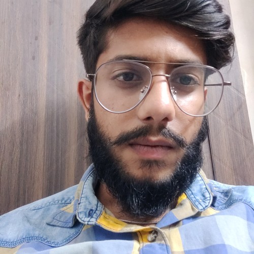 Divyansh S.