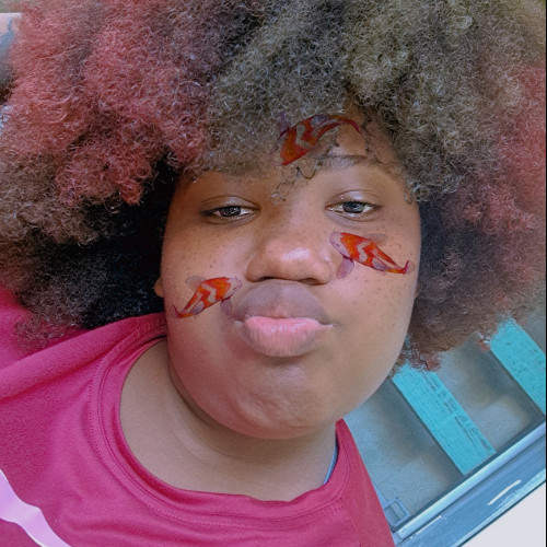 Kayle S. profile photo