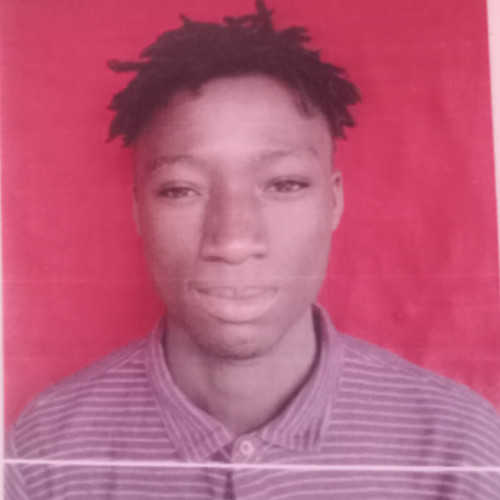 Nehemiah  E. profile photo