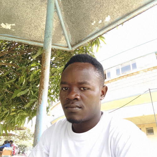 Sharif M. profile photo