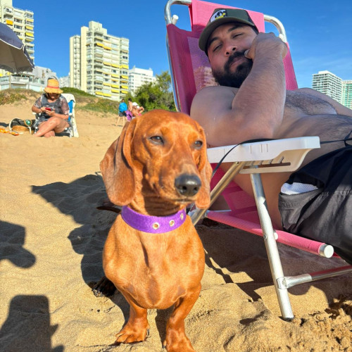 Agustin  D. profile photo