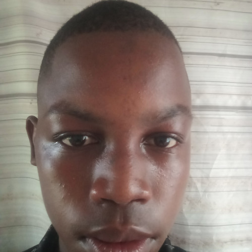 Anthony  K. profile photo