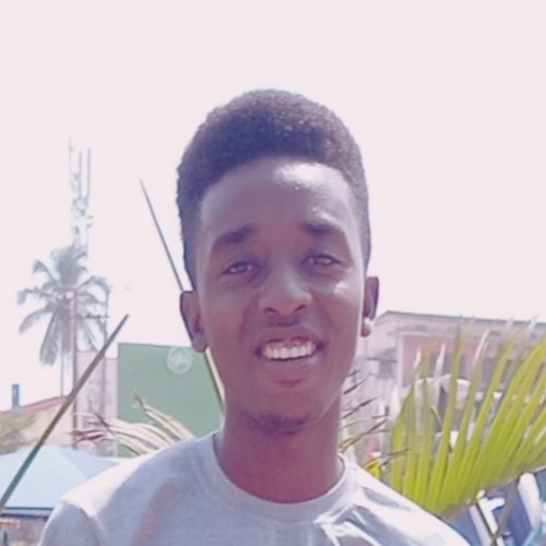 Ogundiya O.
