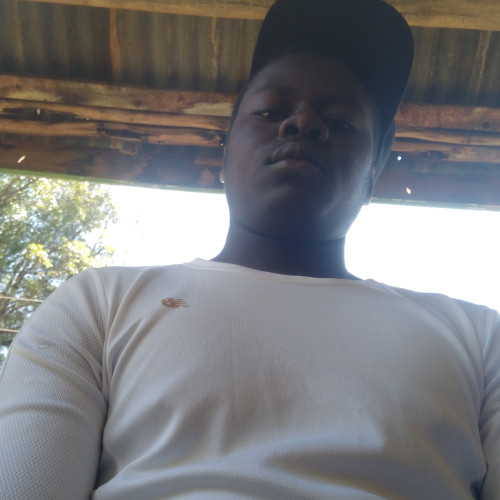 Dedan  W. profile photo