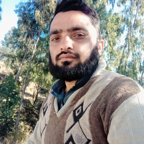 Amir S. profile photo